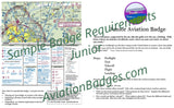 Junior Aviation Badge